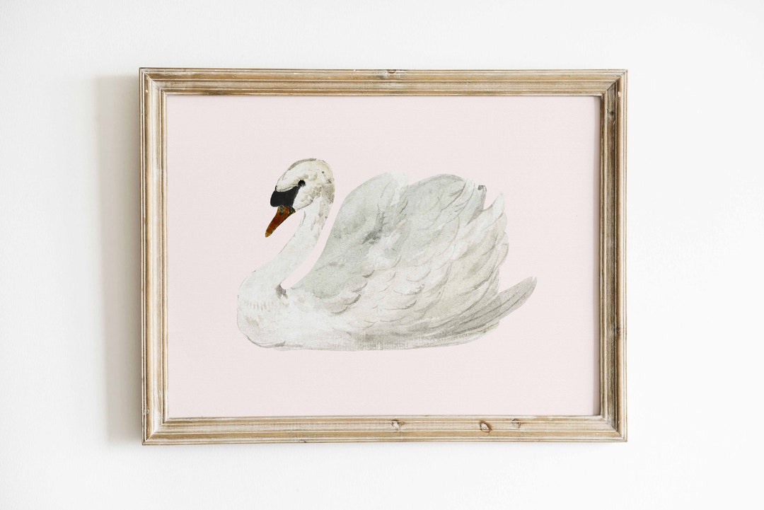 Blush Pink Wall Art Muted White Swan Vintage Print Antique Nursery ...