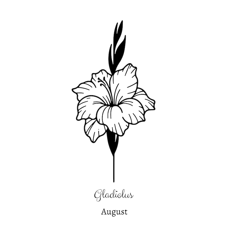 May include: A black and white line drawing of a gladiolus flower with the text "Gladiolus August" below it.
