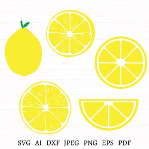 Lemon Slice Svg Bundle, 5 Design Lemon Clipart, Lemon Png With Transparent Background, Lemon Art, Lemon Cut File For Cricut Instant Download