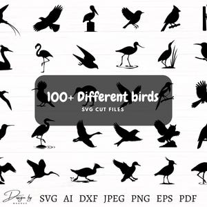 May include: A collection of black bird silhouettes in various poses, including flying, perched, and standing. The image includes the text "100+ Different birds SVG CUT FILES" and file type options: SVG, AI, DXF, JPEG, PNG, EPS, and PDF.