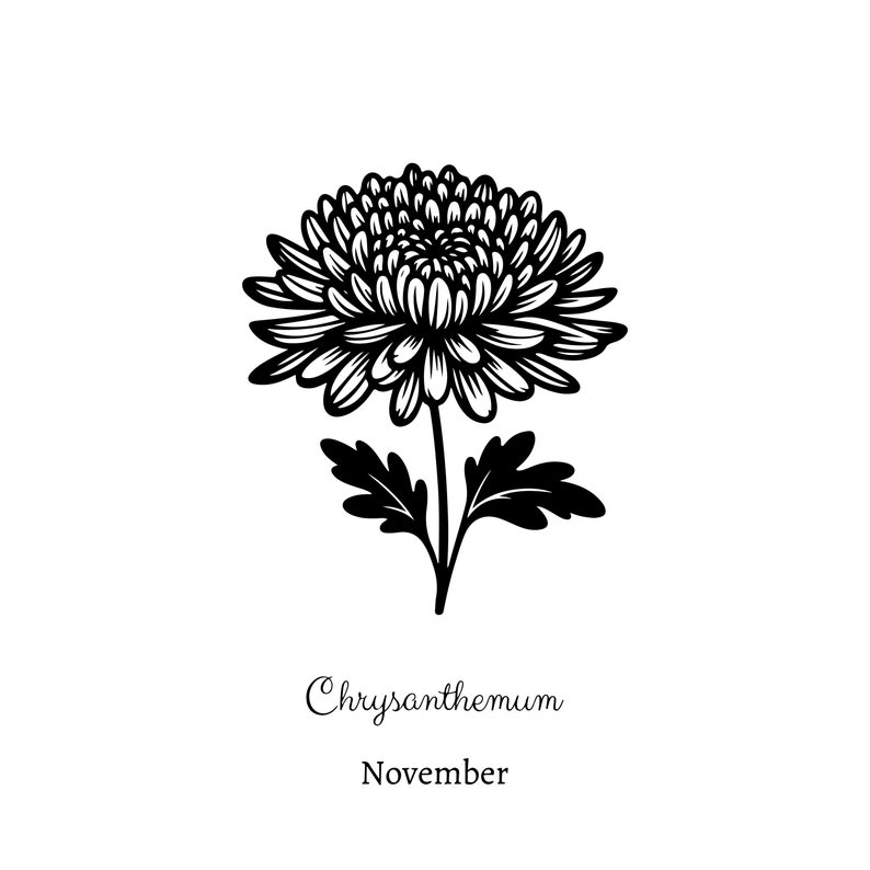 May include: Black and white line drawing of a chrysanthemum flower with leaves. The text "Chrysanthemum" and "November" is below the flower.