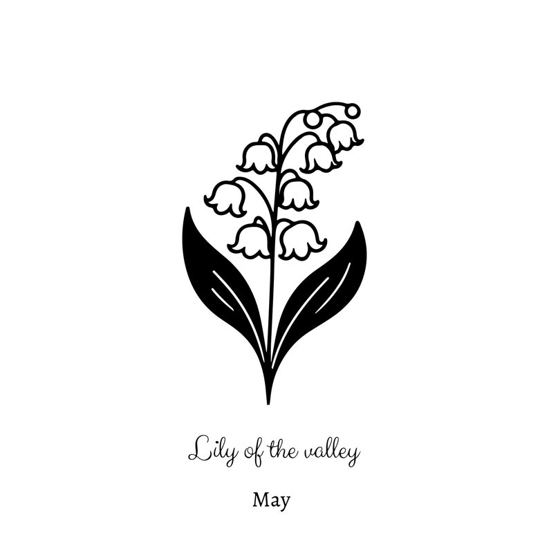 May include: Black and white line drawing of a lily of the valley flower with the text "Lily of the valley" and "May" below the flower.