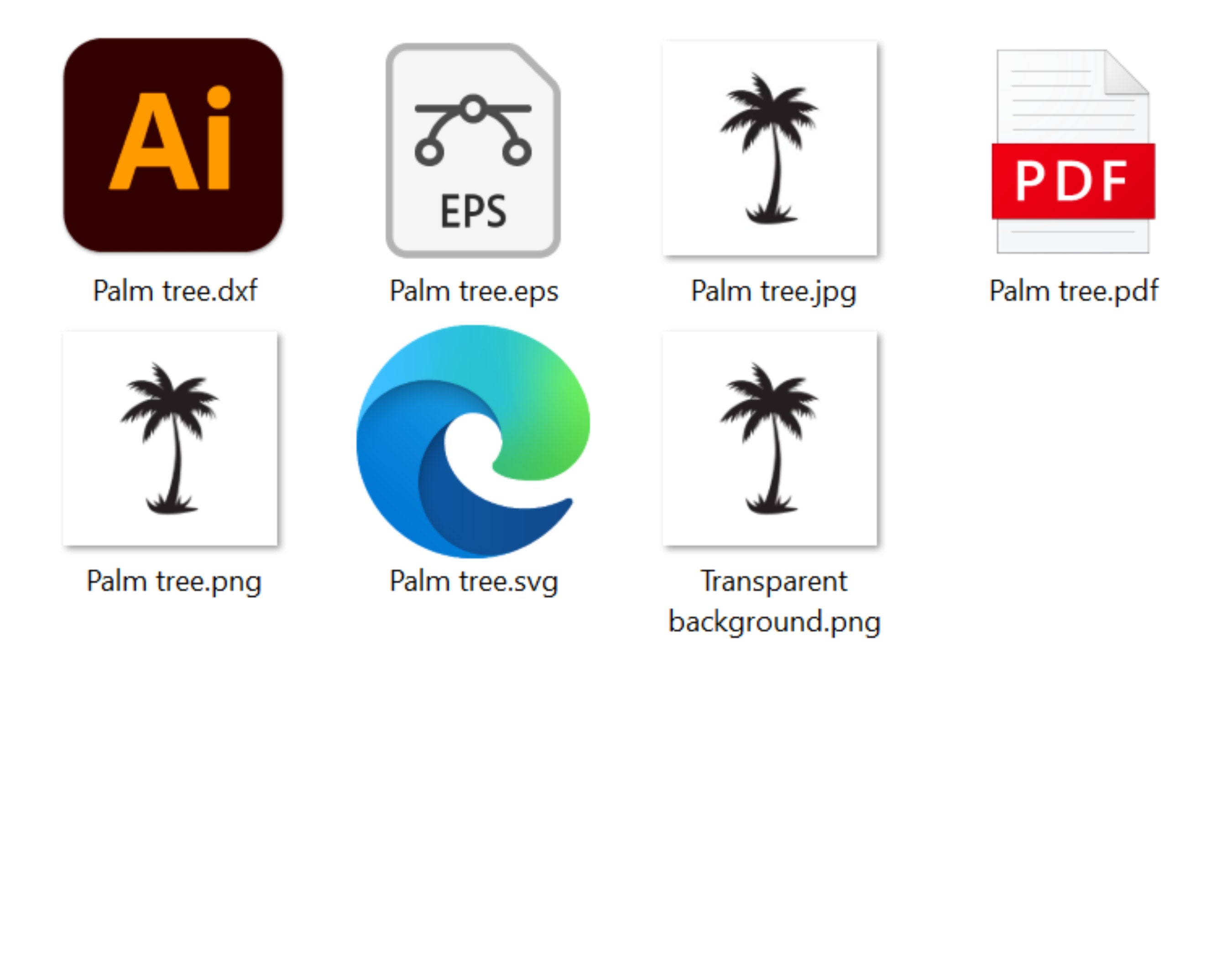 Palm Tree Logo Quiz
