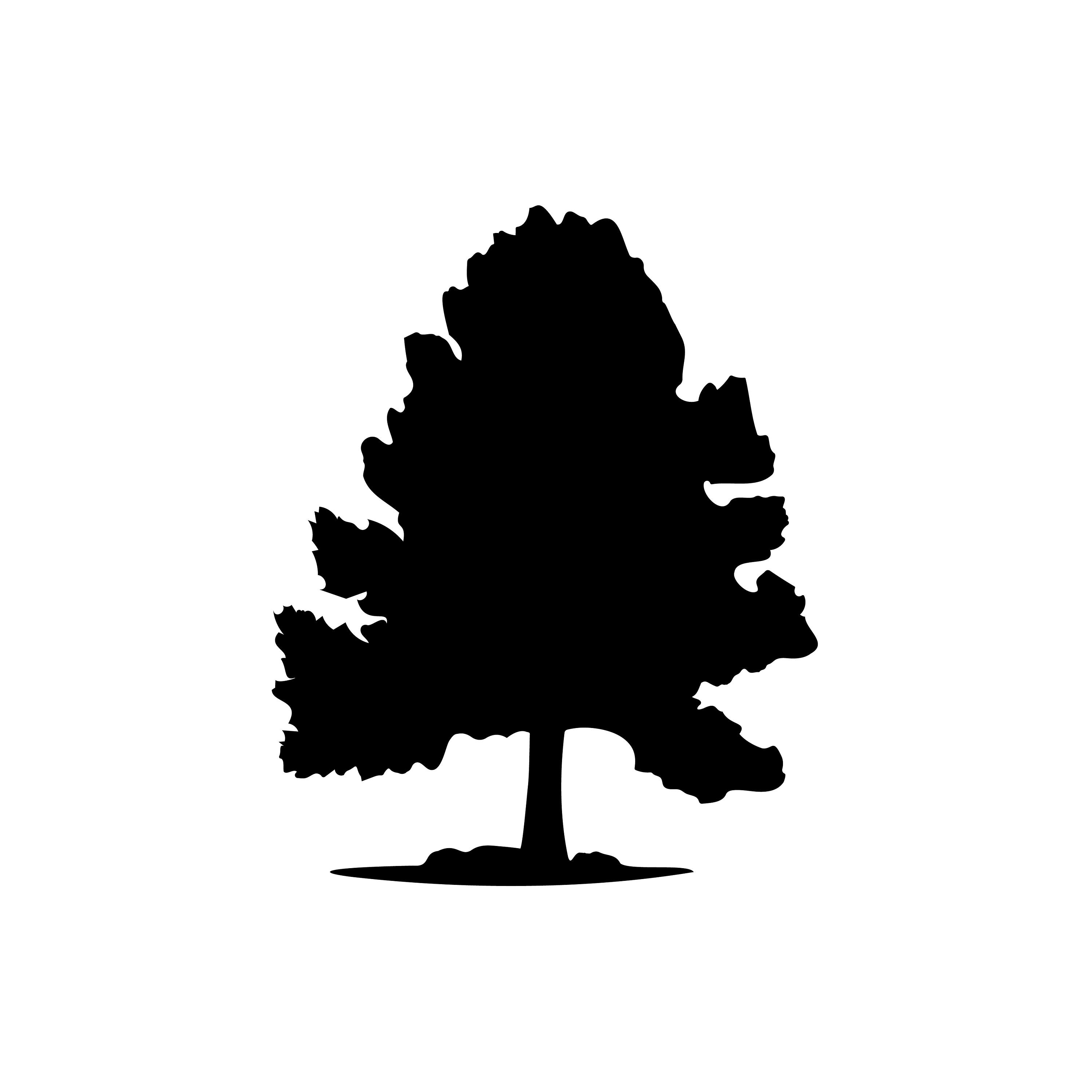 Tree Svg Bundle, 10 Designs, Tree Svg Files, Tree Svg Cricut, Tree Cut ...