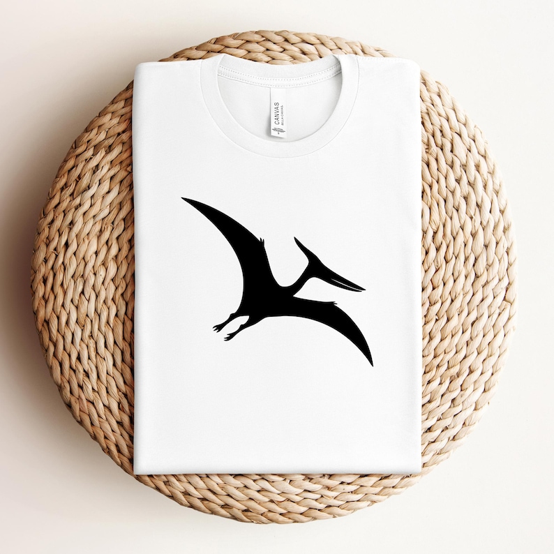 May include: White t-shirt with a black Pterodactyl silhouette. The design is centrally placed. The collar has the word "Canvas" printed on it. The shirt is displayed on a round, woven wicker surface.
