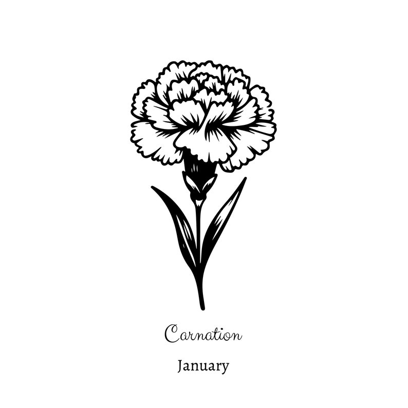 May include: Black and white line drawing of a carnation flower with the text "Carnation" and "January" below it.