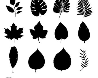 Leaves Svg Bundle, Leaves Cut File For Cricut, Leaves Clipart, Leaf Svg Files, Botanical Svg, Botanical Clipart, Leaf Png, Instant Download