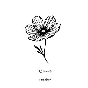 May include: A black and white line drawing of a cosmos flower with the text "Cosmos" and "October" below it.