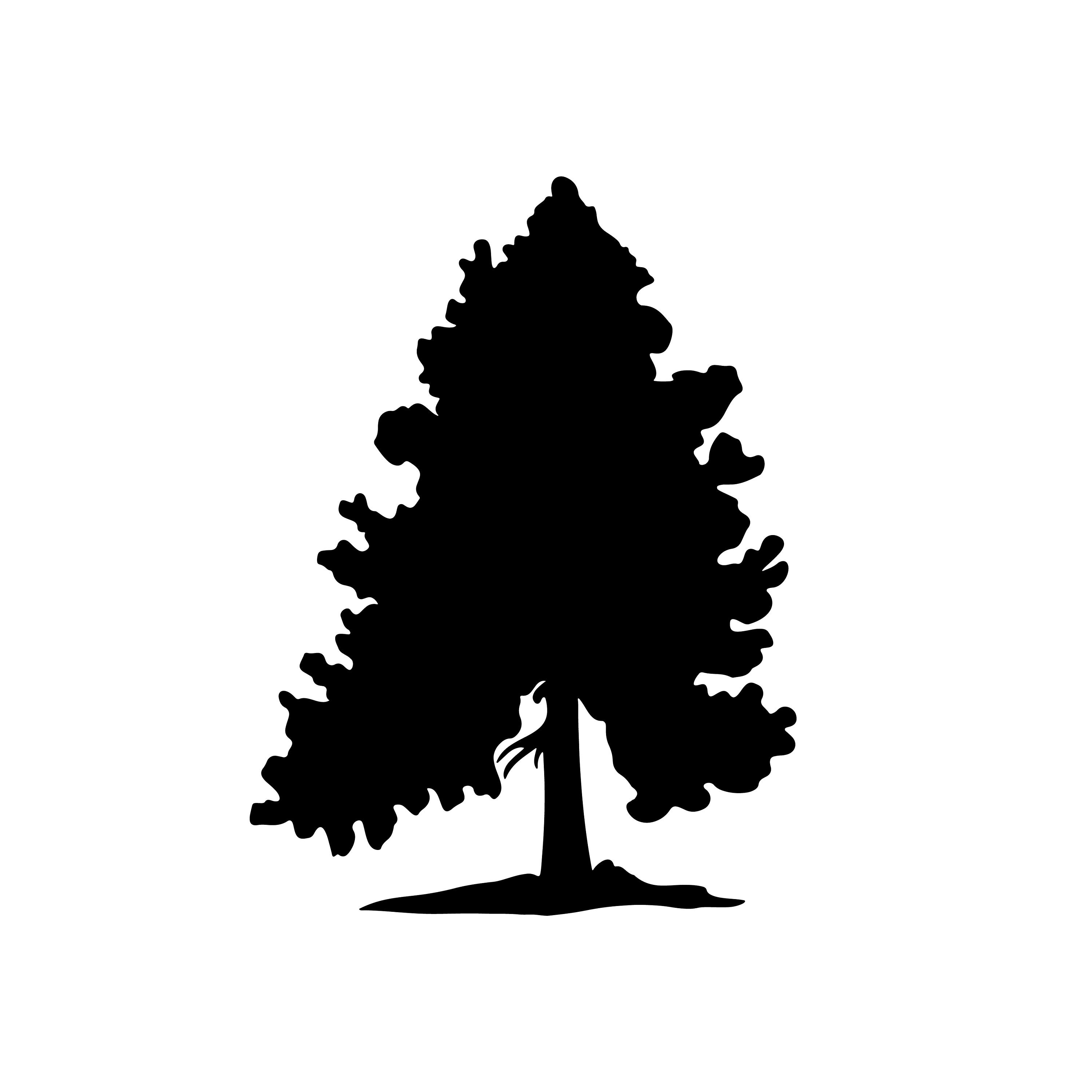 Pine Trees Svg Bundle, 12 Designs, Tree Svg Cut File, Tree Cricut Svg