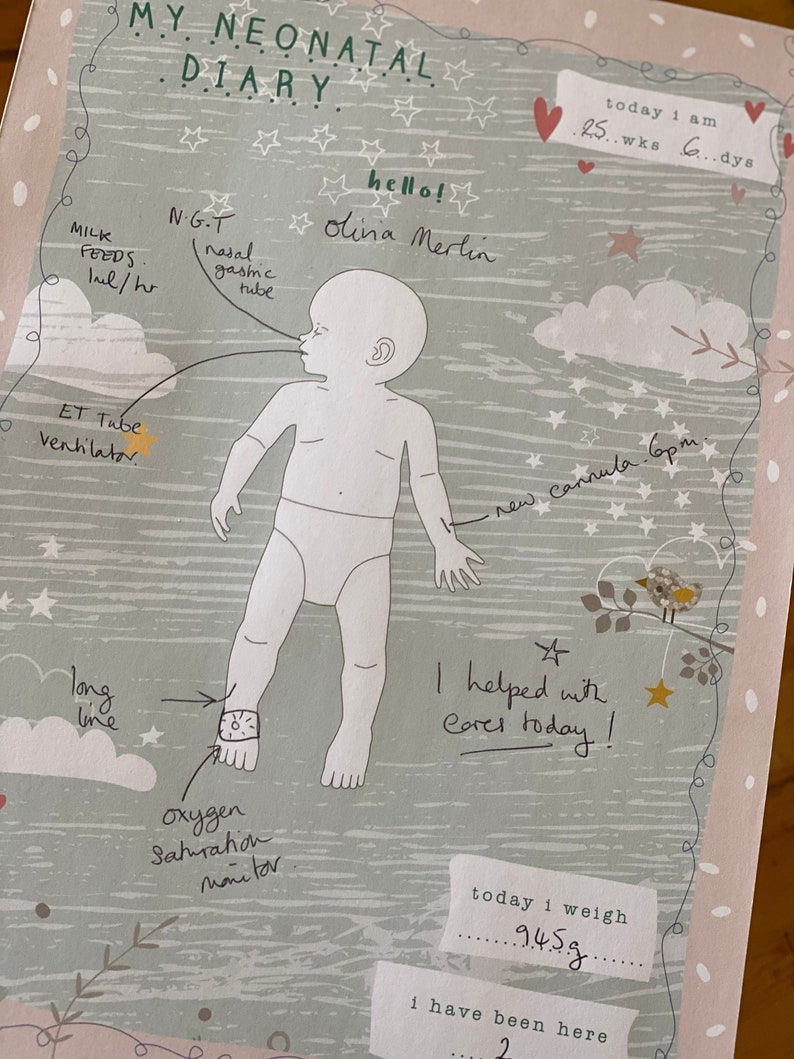 My Neonatal Diary is a Visual Template to Help Track Babies' Care (and ...
