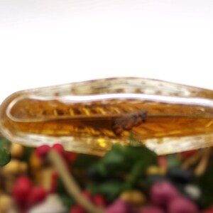 May include: A clear glass vial filled with a golden liquid, with a small insect trapped inside. The vial is resting on a bed of dried flowers and leaves.