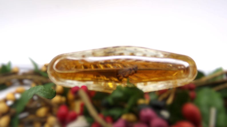 May include: A clear glass vial filled with a golden liquid, with a small insect trapped inside. The vial is resting on a bed of dried flowers and leaves.