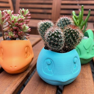Adorable Pokemon-Inspired Indoor Planters: Charmander, Bulbasaur, Squirtle - Perfect for Succulents, Cacti, Air Plants