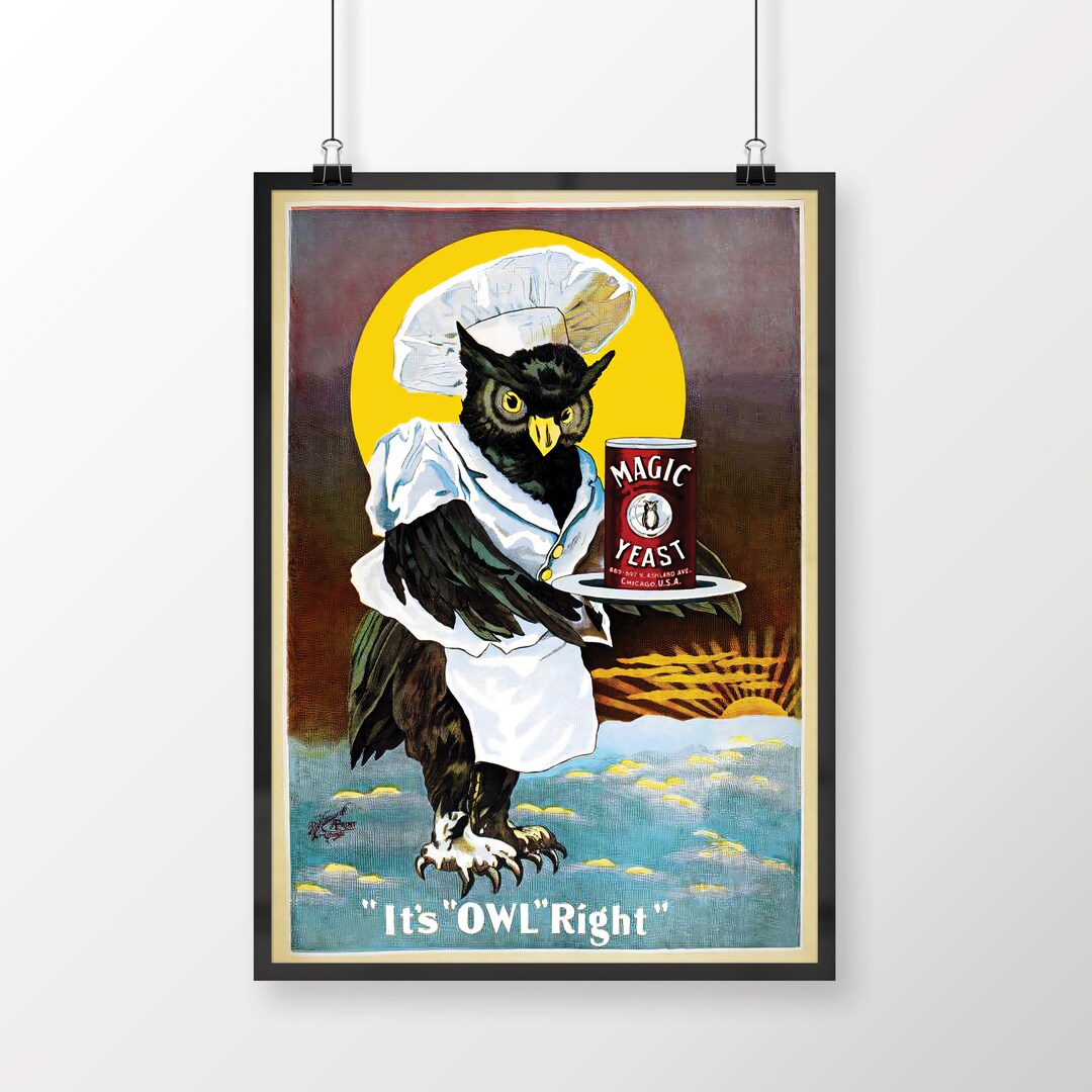 It's OWL Right Magic Yeast, Housewarming Gift, Whimsical Owl Print ...