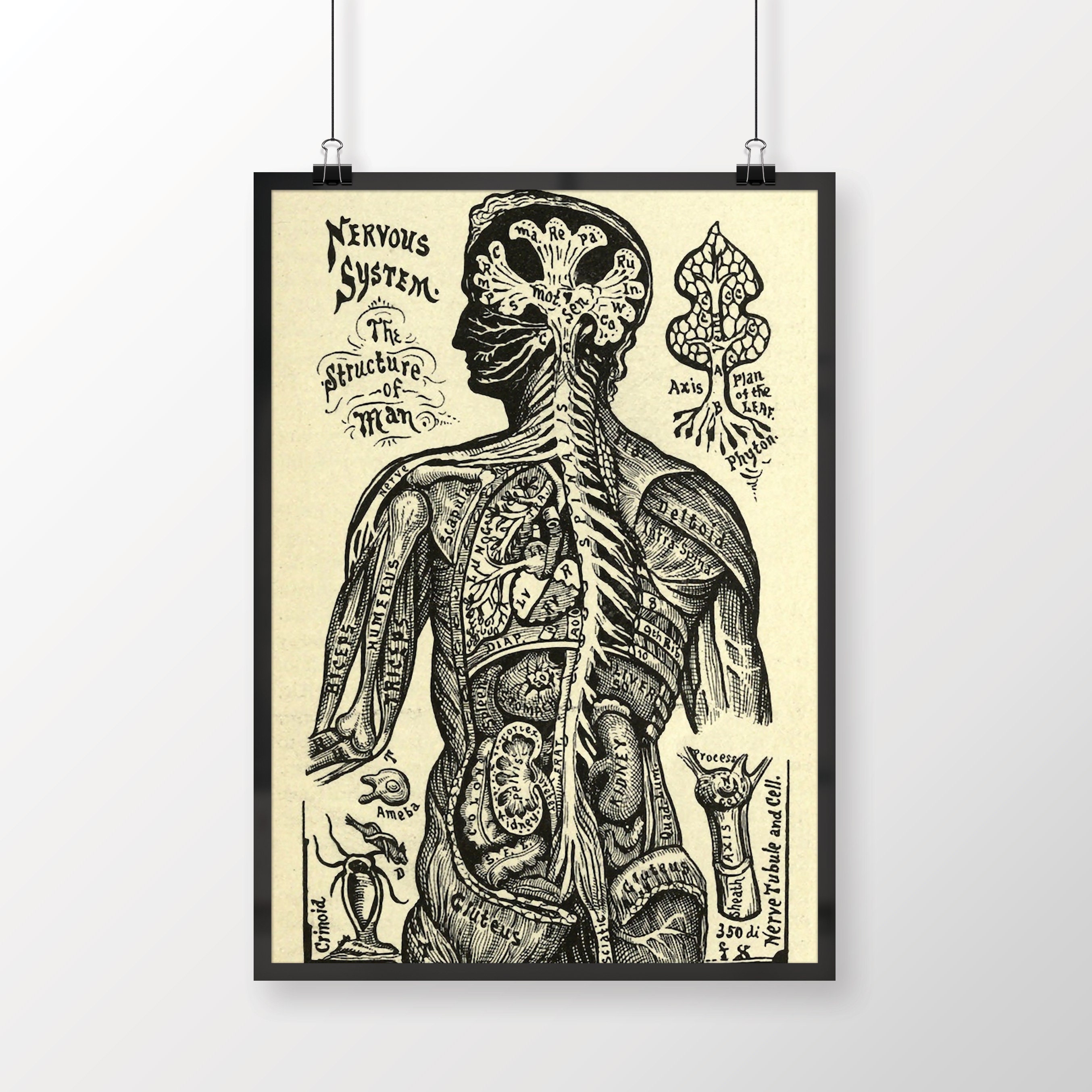 Therapist Office Decor Set of 3 School Counselor Poster Etsy