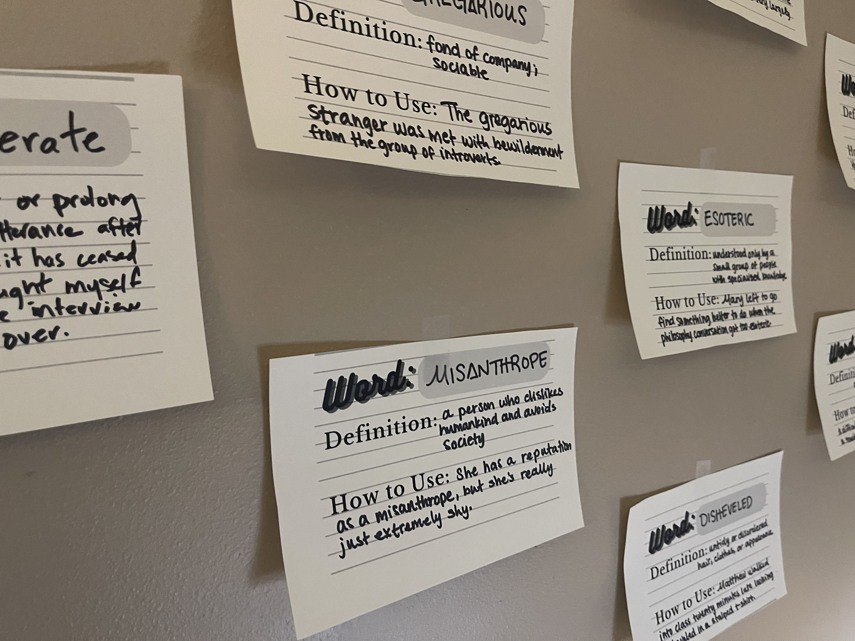 Vocabulary Wall Homeschool Template Digital Download - Etsy