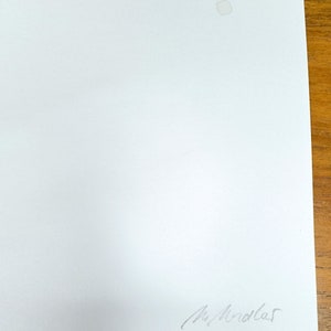 Halfmoon Original Tusche und Tinte Bilder auf Aquarellkarton minimalistisch Bild 7