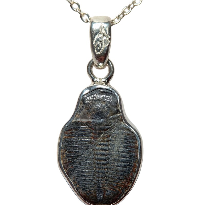 Pendentif En Argent 925 Avec Ammonite, Ambre Et Trilobite - Bijou Artisanal Naturel