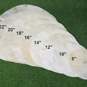 Goatskin for Shamanic Drum & Djembe | Natural Flat Round Piece GOAT SKIN Head