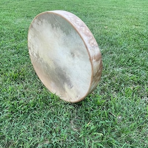 May include: A large, round, natural-toned drum with a rawhide head, lying on a bed of green grass.