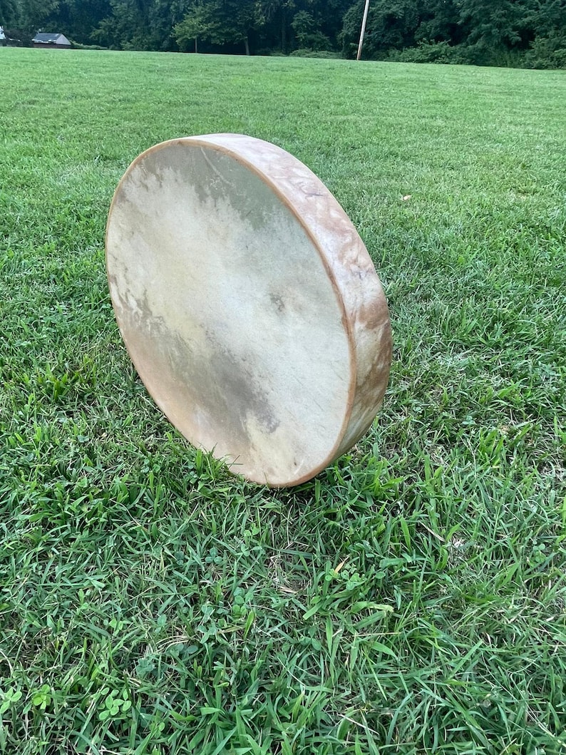 May include: A large, round, natural-toned drum with a rawhide head, lying on a bed of green grass.