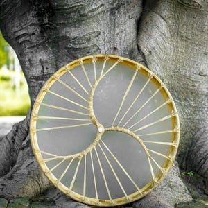 May include: A round, handcrafted drum with a light-colored, translucent surface and a wooden frame. The drum is decorated with a spiral design and rests against the textured bark of a large tree, with a blurred green background.