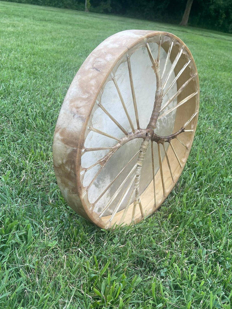 May include: A round, wooden frame drum with a white leather head. The drum is decorated with a natural, branch-like design and is resting on a bed of green grass.