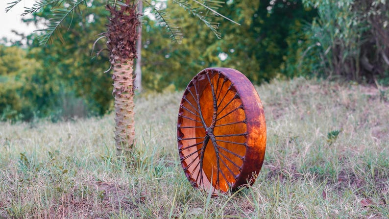 Pu&ograve; includere: Un grande tamburo rotondo con un telaio in legno marrone e una pelle tesa color arancione. Il tamburo &egrave; posizionato in posizione verticale in un campo erboso, con una palma e un fogliame verde sfocato sullo sfondo.