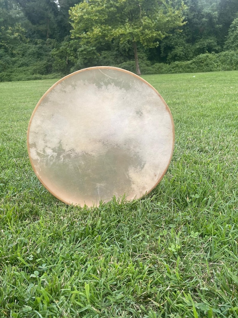 May include: A round, light brown wooden frame drum with a white, natural skin head. The drum is sitting on a bed of green grass.