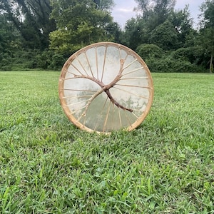 May include: A round, brown wooden frame drum with a white leather drumhead. The drum is sitting on a green grassy field.