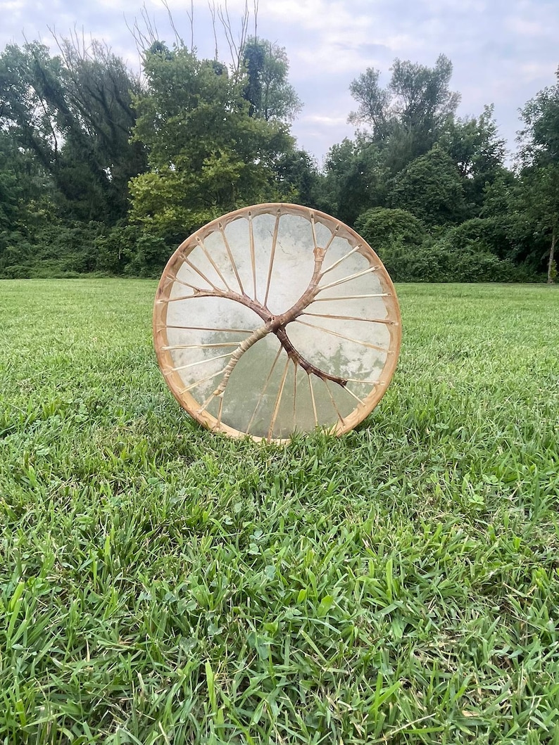 May include: A round, brown wooden frame drum with a white leather drumhead. The drum is sitting on a green grassy field.
