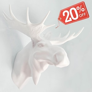 Wandmontage elk Moose Grand Majestic Head: decor trofee neptaxidermie