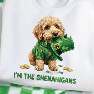 May include: White sweatshirt featuring a cute dog wearing a green sweater and holding a green St. Patrick's Day hat. The text "I'M THE SHENANIGANS" is printed in green at the bottom. Gold coins are scattered around the dog.