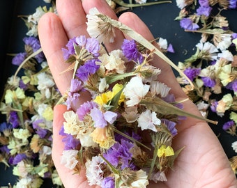 May include: A handful of dried flowers in shades of purple, white, and yellow. The flowers are small and delicate, with a variety of shapes and textures.