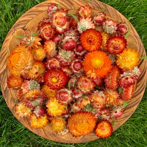 100 mix Dried Strawflower Heads, dried flowers, wedding diy, Dried flower , Dried flower for resin, Dried flower for craft