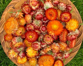 100 mix Dried Strawflower Heads, dried flowers, wedding diy, Dried flower , Dried flower for resin, Dried flower for craft
