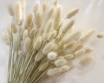 50 Pcs Natural Dried Bunny Tail Grass, Boho Wedding Decor