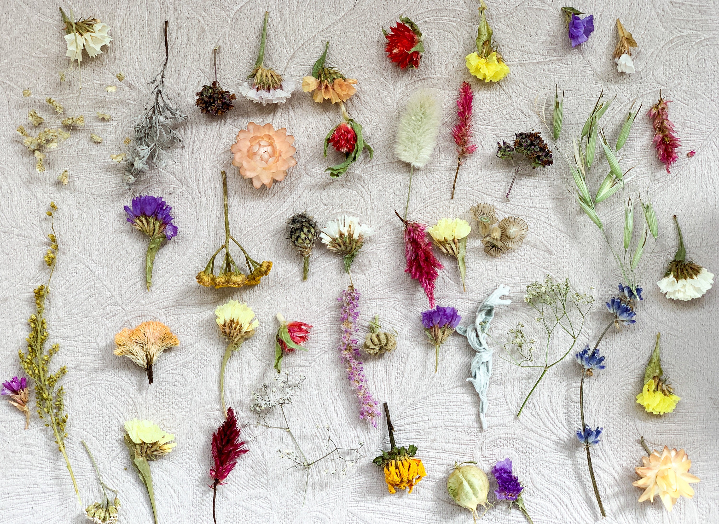 150 Pcs Small Dried Flowers, Tiny Dry Flowers,flowers for Resin,box Resin  Diy,dry Flower Supply, Dried Flowers Kit, Dried Flowers for Crafts - Etsy