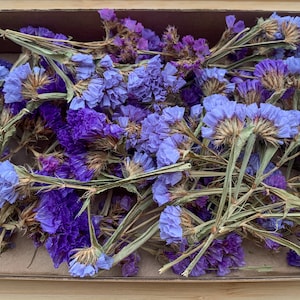May include: A box filled with dried statice flowers in shades of purple and blue. The flowers are arranged in a random pattern and have a natural, rustic look.