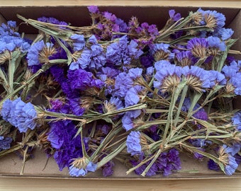 May include: A box filled with dried statice flowers in shades of purple and blue. The flowers are arranged in a random pattern and have a natural, rustic look.