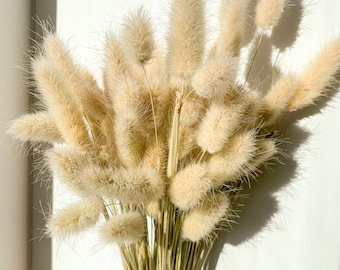 Lagurus, 100% natural dried natural bunny tails grass, rustic decor, DIY