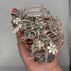 May include: A set of silver charm bracelets with various charms, including flowers, leaves, and a peace sign.