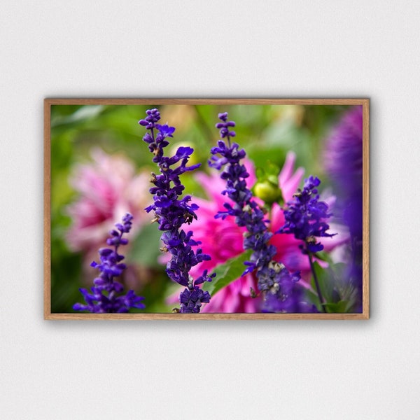 Flower Photo- Floral Wall Decor- Pink Flower Print- Purple Flower Photo- Floral Wall Art- Flower Print- Digital Download - Printable Decor