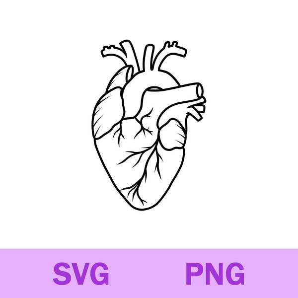 Anatomical Heart Svg Png, Human Heart Svg Png, Anatomical Heart Clipart, Cricut Silhouette Cutting File, Digital Download