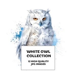 White Owl Clipart - 12 JPG de haute qualité - Téléchargement numérique - Fabrication de cartes, Clip Art, Artisanat en papier numérique