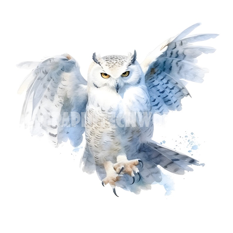 Washed Owl White Owl Clipart - 12 High Quality Jpgs - Digital Download - Card ...