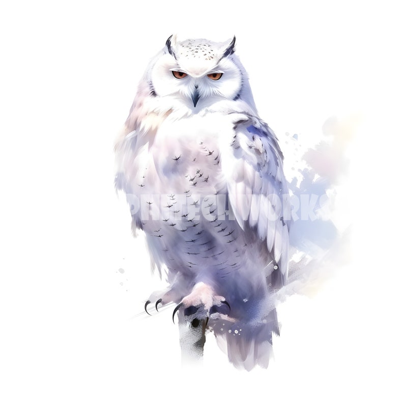 Washed Owl White Owl Clipart - 12 High Quality Jpgs - Digital Download - Card ...