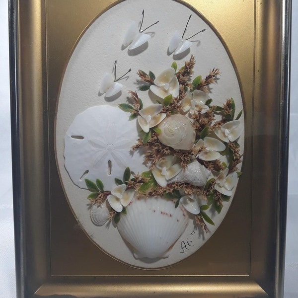 Seashell Shadow Box Etsy