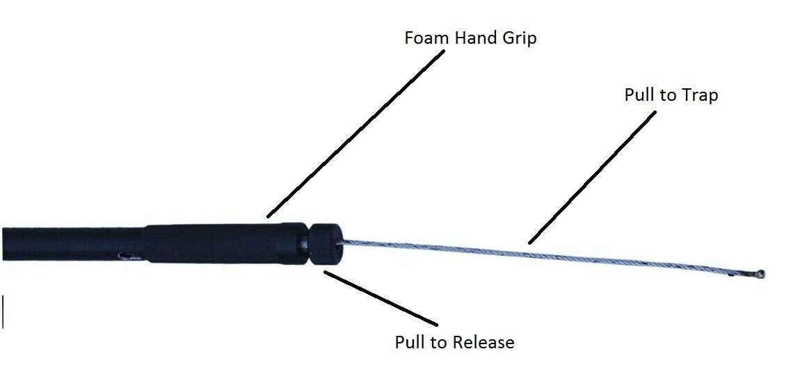 Humane Snare Pole / Catch Pole for Calf, Pig, Dogs and Foal and Vicious  Animals -  Canada