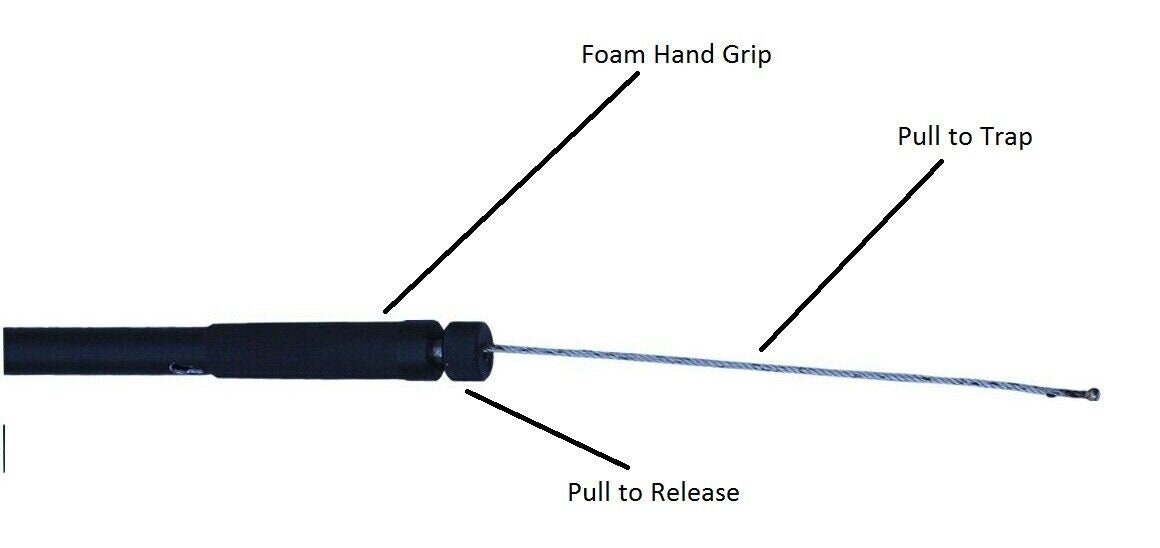 Humane Snare Pole / Catch Pole for Calf, Pig, Dogs and Foal and Vicious